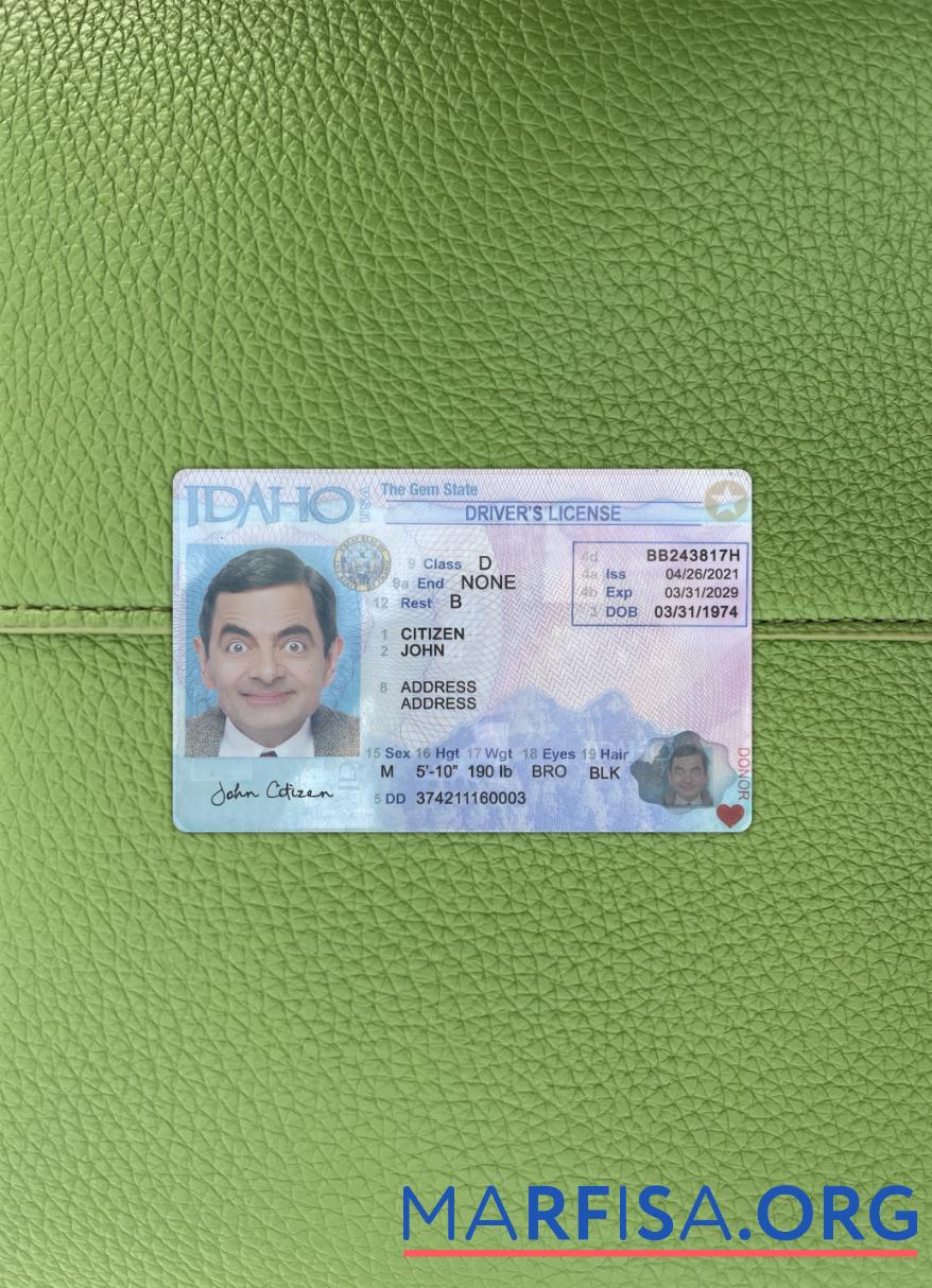 Blank USA Idaho driving license 2021 present photolook download for verification